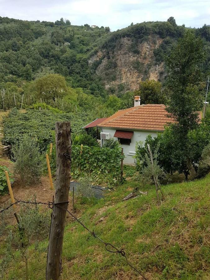 Holiday Home Dionysis ホレフト エクステリア 写真